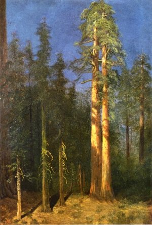 California Redwoods by Albert Bierstadt Oil Painting Reproduction