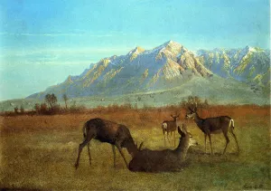 Deer in a Mountain Home