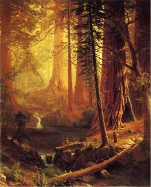 Giant Redwood Trees of California by Albert Bierstadt Oil Painting Reproduction