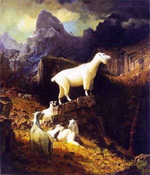 Rocky Mountain Goats by Albert Bierstadt Oil Painting Reproduction