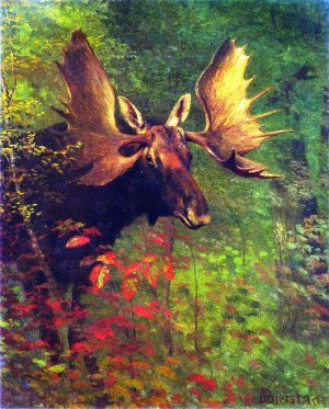 Study of a Moose by Albert Bierstadt Oil Painting Reproduction