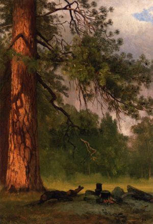 Yosemite Camp Kitchen by Albert Bierstadt Oil Painting Reproduction